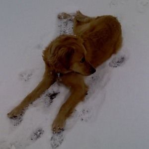 Meet your Posher, Jody